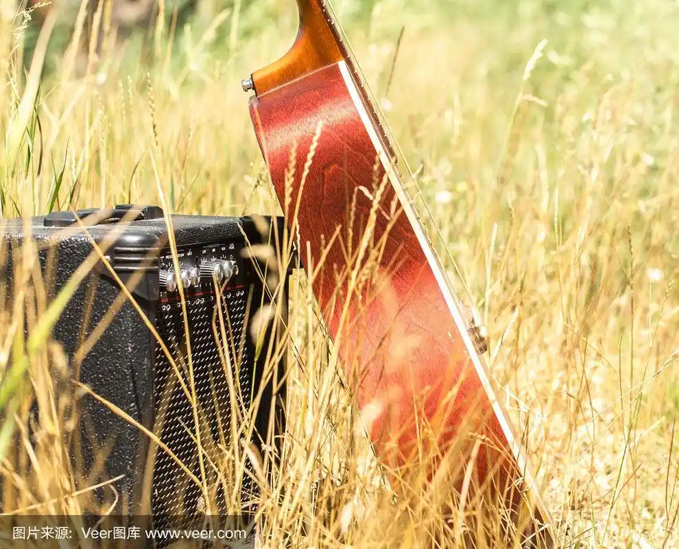 自然,吉他,天空,休闲活动,苔藓