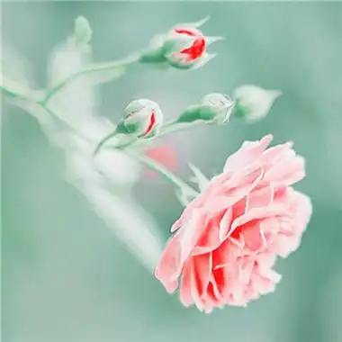 2023适合一辈子好运头像