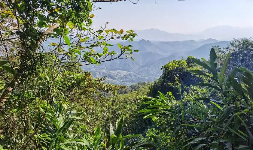 黎母山国家森林公园