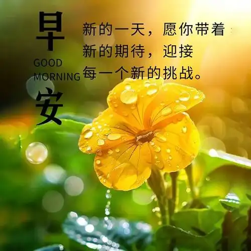 5月21日早安图片,新鲜推出的早安祝福语图片大全