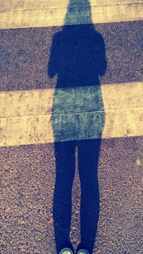 斑马纹上的影子.