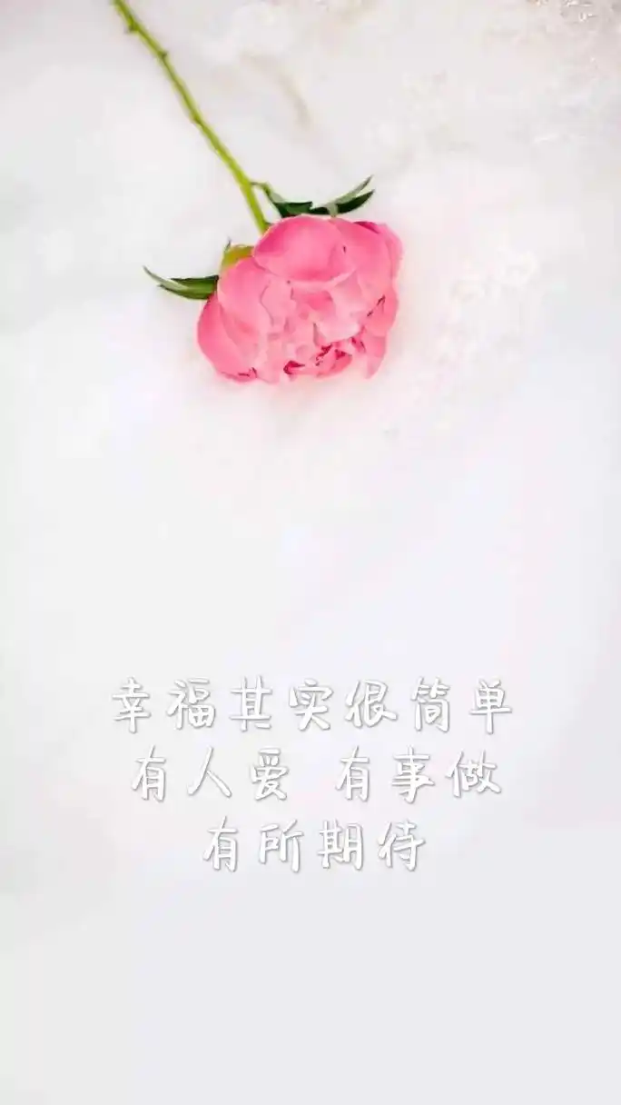 慢慢理解世界,慢慢更新自己#手机壁纸#锁屏壁纸#文字控#欢迎 - 抖音