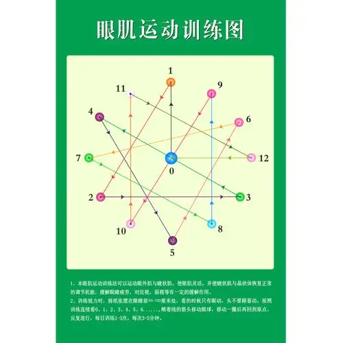 保护视力宣传挂画 眼部肌肉活动示意图 眼肌运动视力训练挂图大图