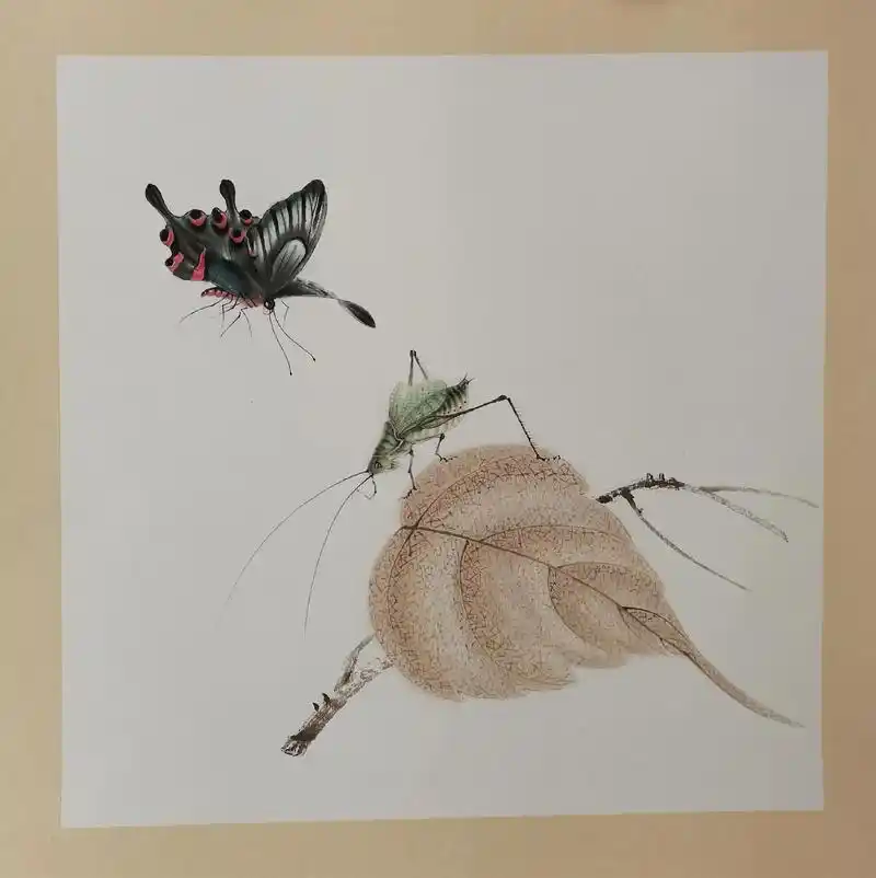 草虫秋色 - 蜻蜓工笔(赵老师) - 抖音