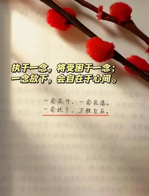 🌸放下执念,拥抱自在人生🌸