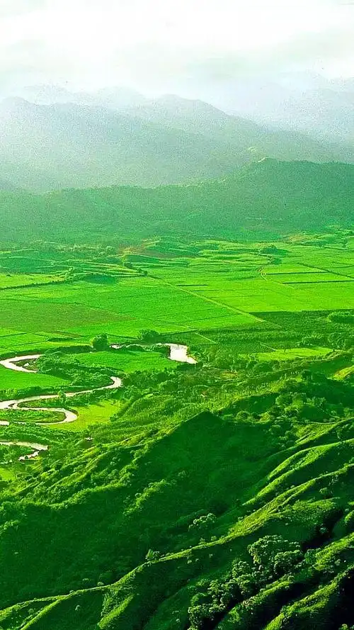 658_1170竖版 竖屏