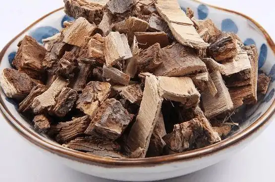 榔榆皮的功效与作用