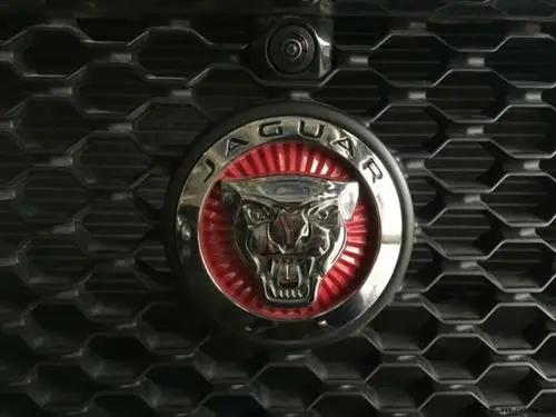 求fx的应援色和logo