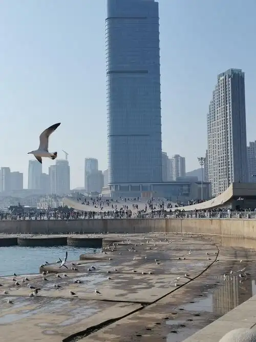 大连星海广场美景(2020年)