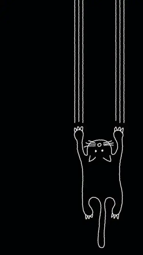 简约黑白猫咪,高清图片,手机锁屏桌面-壁纸族