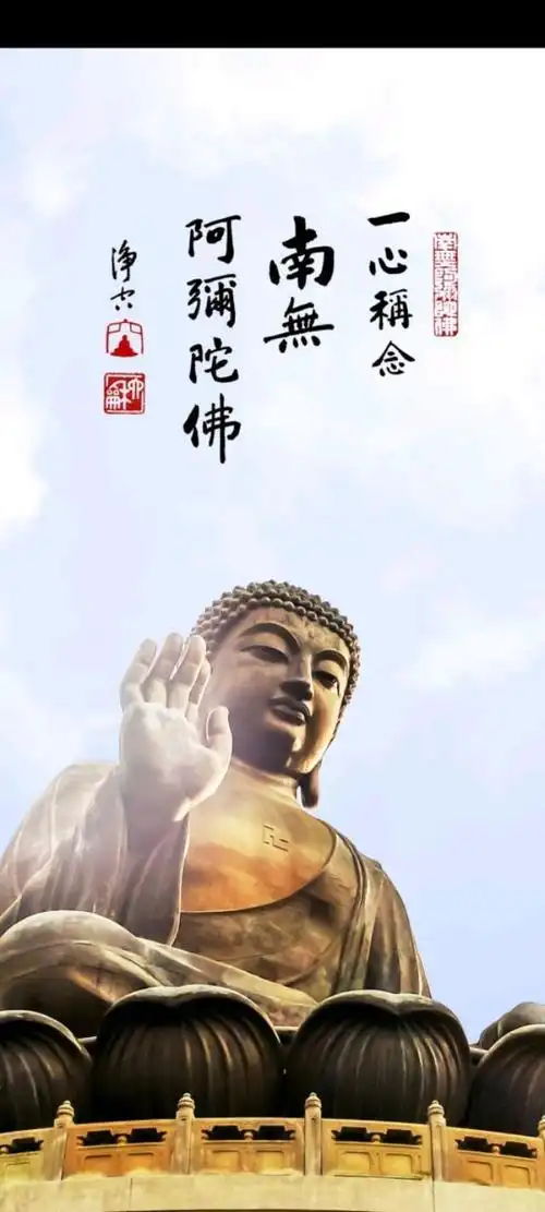 壁纸|佛系壁纸而已