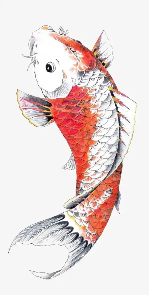 手绘鱼