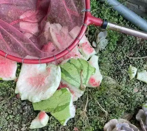 贵州一小区,西瓜从天而降,砸出巨响!