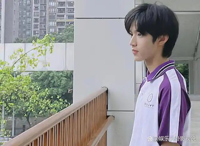 刘耀文初中是在重庆鲁能巴蜀中学读书,这是一所公办中学,由重庆市江北