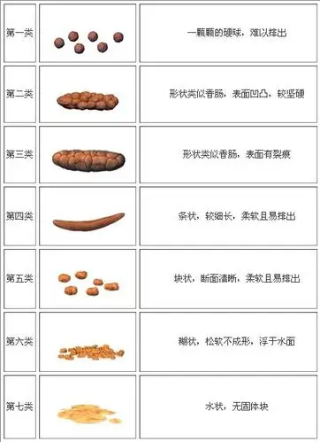 从大便的形状看健康状况