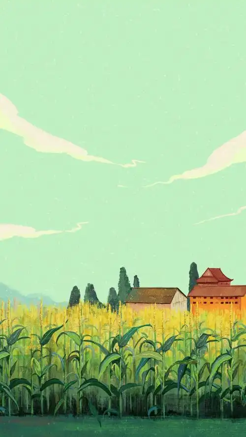 8月24日 20:15   关注  田园 风景 风光 大自然 农田 评论 收藏