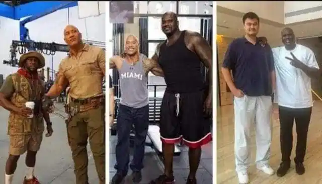 30张罕见的照片巨石强森奥尼尔姚明比身高巨石身高195cm