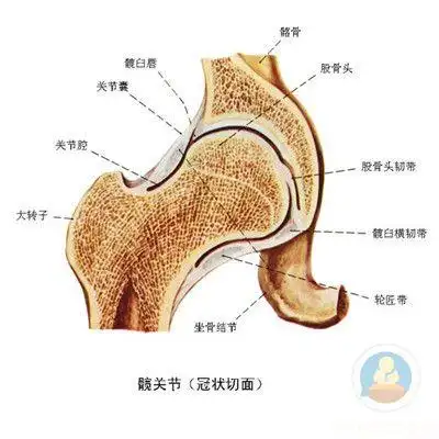 滑膜炎的治疗方法有哪些呢