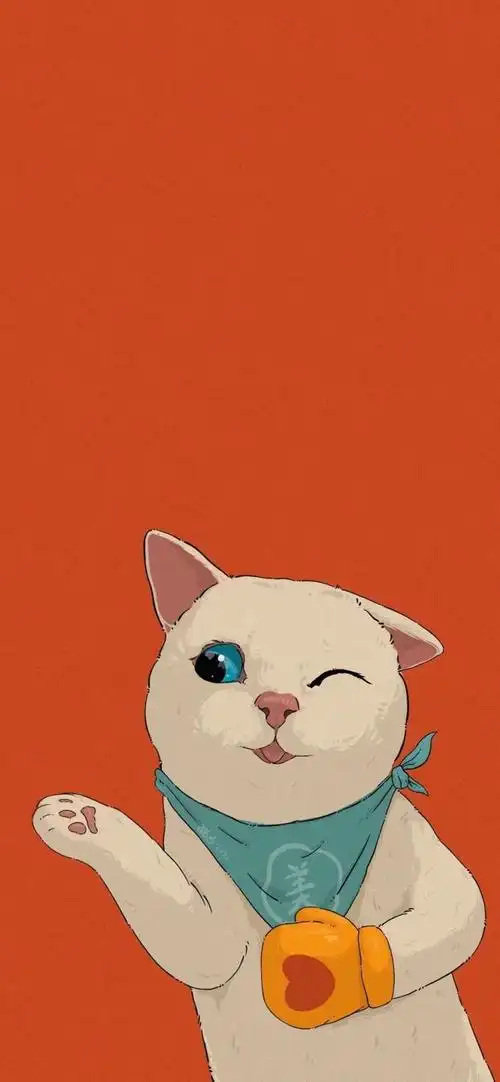 精选壁纸可爱佛系猫