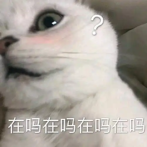 萌宠gif猫星人gif在吗gif好奇gif呆萌gif可爱gif