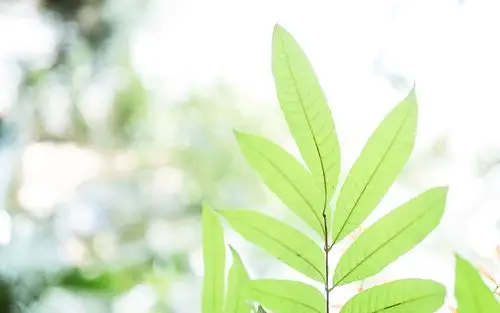 小清新风景图片高清桌面电脑壁纸高清大图预览1920x1080_风景壁纸下载