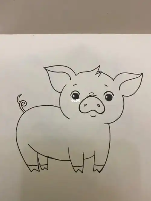 儿童动物简笔画60100