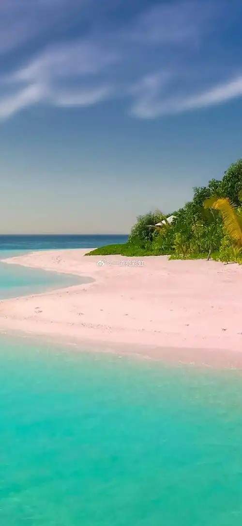 壁纸 桌面 690_1496 竖版 竖屏 手机