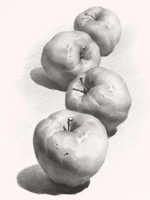 素描静物中各种不同的单体到底该如何画?你被这些苹果支配过吗?