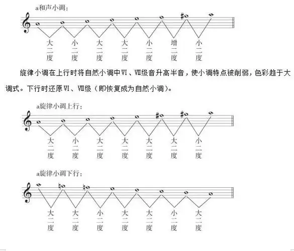 2020甘肃教师招聘小学音乐备考小调音阶