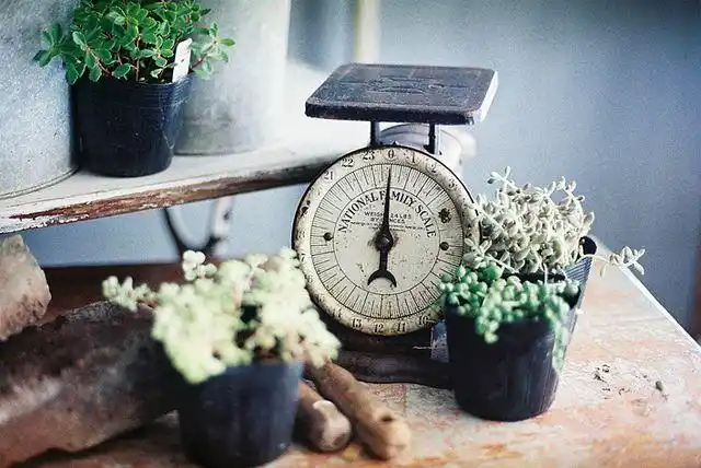 无以伦比的美丽治愈系美图 | ㄇㄞˋ点子灵感创意志