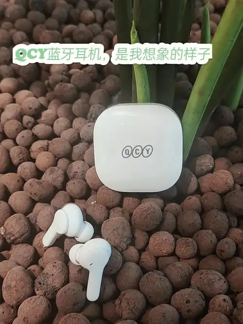 同事的qcy蓝牙耳机是我想象的样子