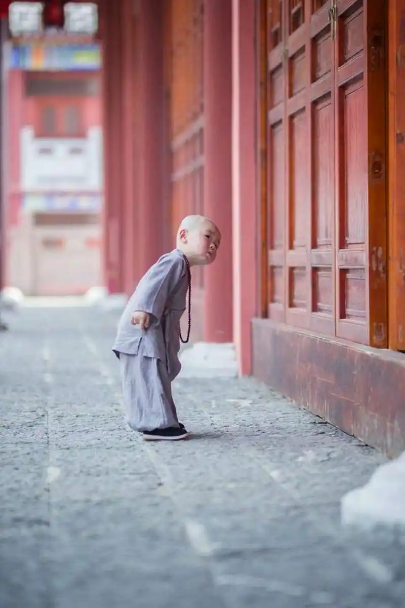 老和尚问小和尚:"如果你前进一步是死,后退一步则亡,你该怎么办?