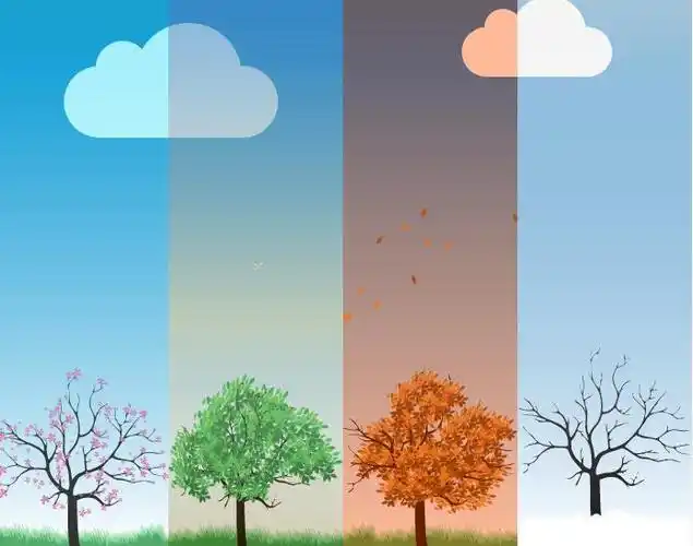 jquery网页特效植物四季场景变换特效样式代码