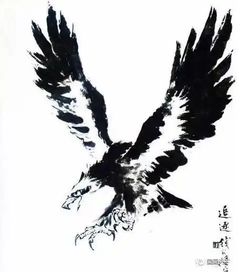 翱翔:画鹰在蓝天翱翔时,可用淡花青画出云层,以增加高度和空间的感觉