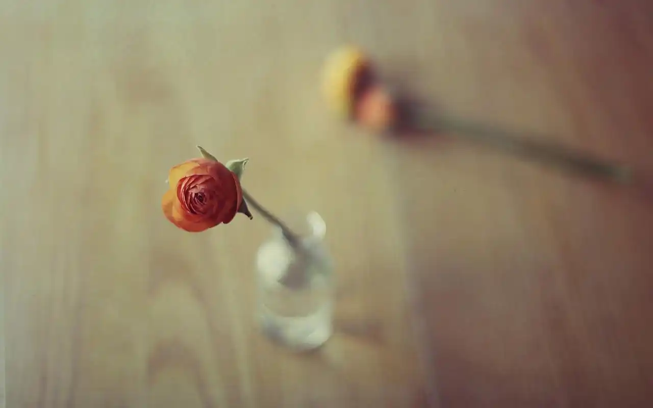 唯美复古意境花卉静物桌面壁纸下载