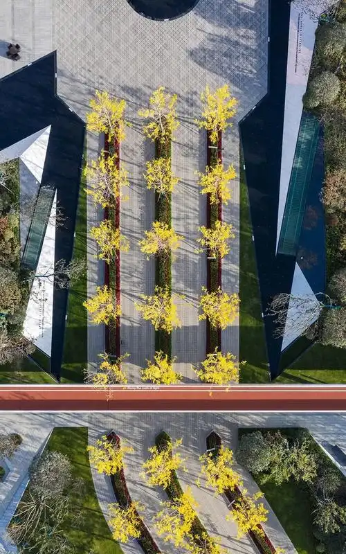 树阵景观,居然还能这么美!-景观设计-筑龙园林景观论坛