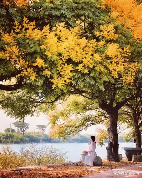 日常生活当中,普通的场景,也可以拍出好看的照片,那应该怎么拍呢?