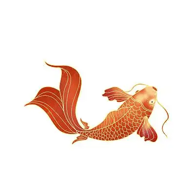 彩色鲤鱼图片