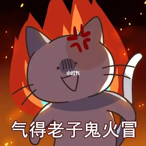 在小红书跟着教程折纸飞机的第三天了 第一天做的扑棱蛾子(bushi)成功