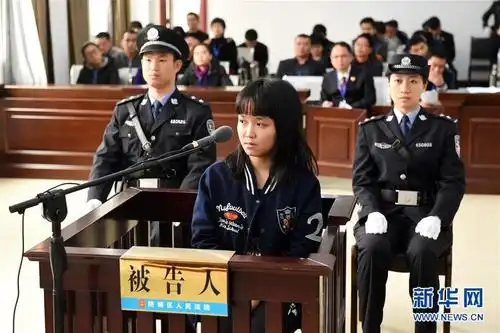 广西一女孩利用"8·12"天津港爆炸事故网上诈骗案开庭审理[组图]