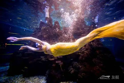 梵尔纳美人鱼餐厅海洋馆里吃海鲜自助看俄罗斯美女水中芭蕾表演