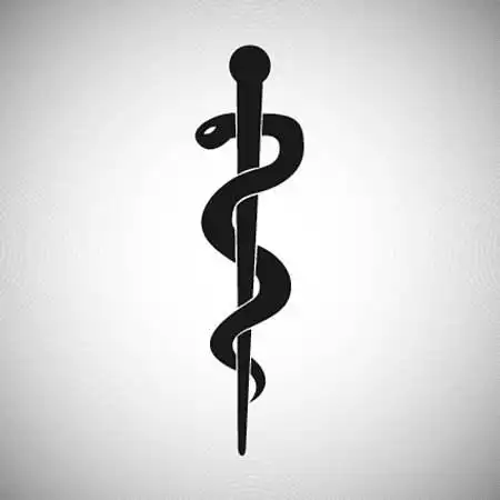 双蛇杖图片_图片大全