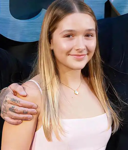 贝小七_网易订阅