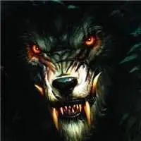 狼好看图片头像点击鼠标右键下载