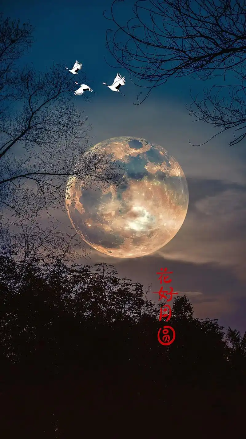 八月十五中秋节的晚上,我会对着月亮许愿,希望我在意的和在意我 - 抖