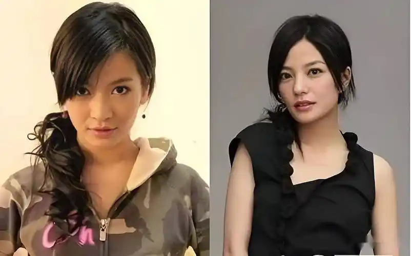 李晟和赵薇怎么这么像?为何两人的相似之处如此之多