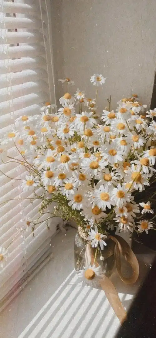 你有哪些压箱好看的壁纸图片