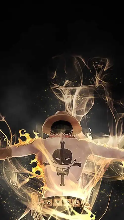 有哪些可以用一生的海贼王壁纸(手机&电脑)?