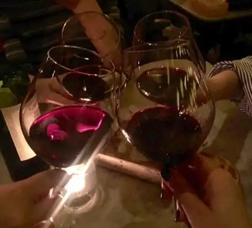 王文也和闺蜜喝红酒聚餐白富美回归日常