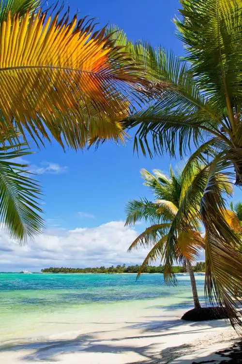 1200_1800竖版 竖屏